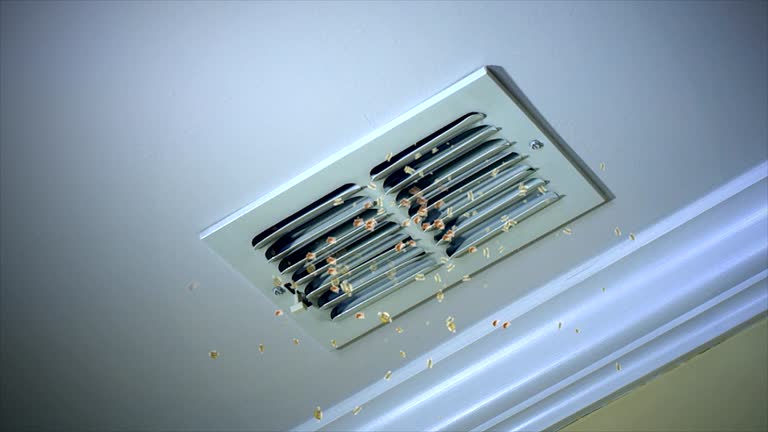 Best Emergency Air Duct Cleaning  in Corte Madera, CA
