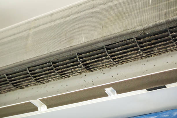 Best HVAC System Cleaning  in Corte Madera, CA